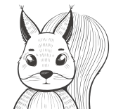 Белки в колесе